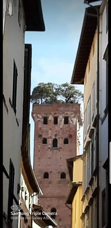 Wanda'S Apartment Lucca Italy